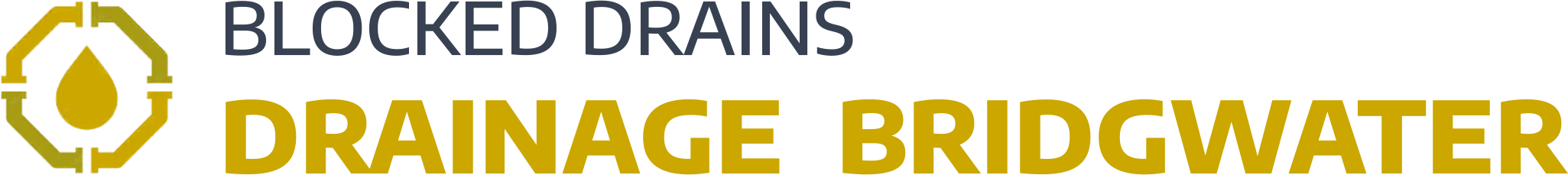 website logo